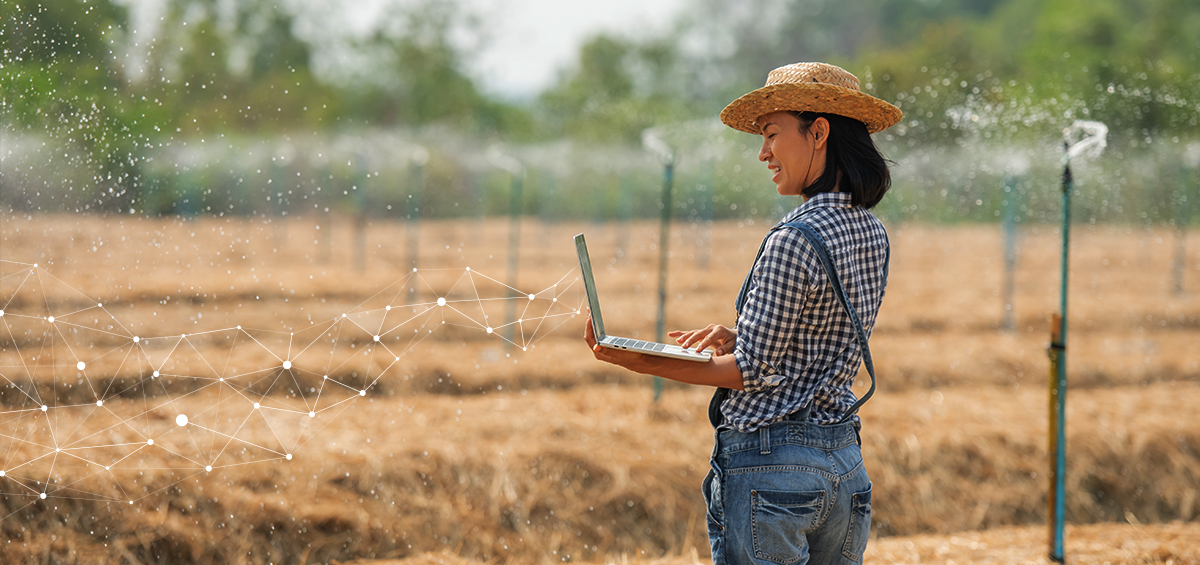 Công nghệ cao đã cách mạng hóa nông nghiệp