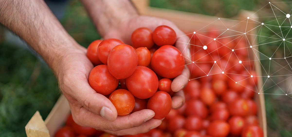 Ngày An toàn Thực phẩm Thế giới: Các Quy định ESG Thúc đẩy Tính minh bạch trong Ngành Thực phẩm như thế nào?
