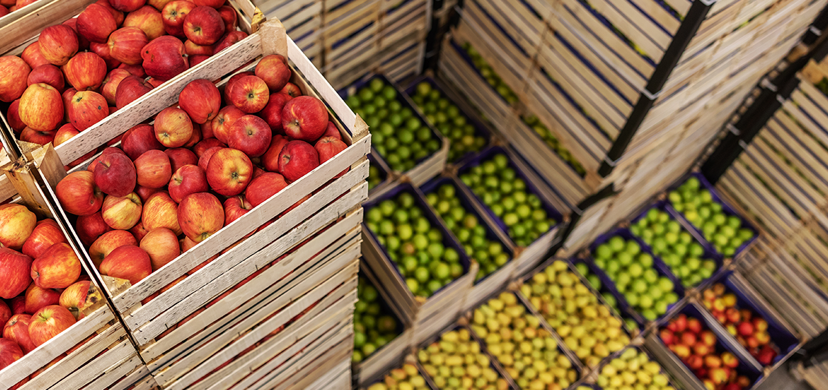 Làm thế nào để lưu trữ trái cây và rau quả?