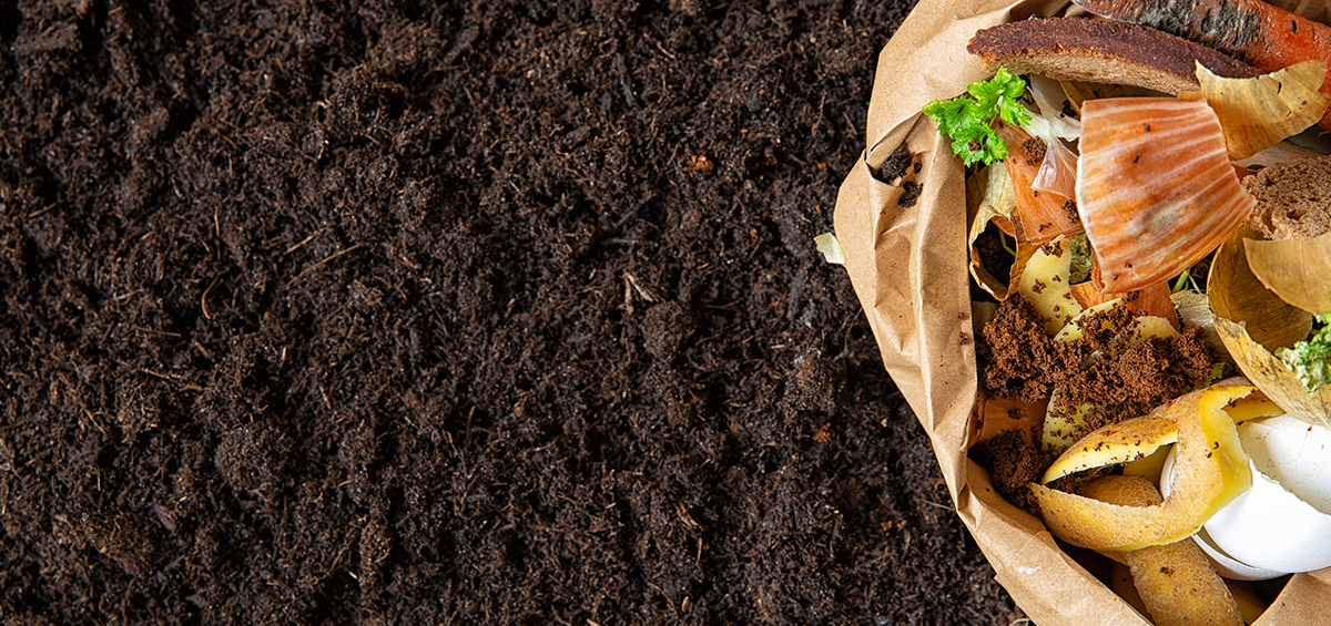 Tầm quan trọng  của mùn trong đất đối  với thâm canh cây trồng