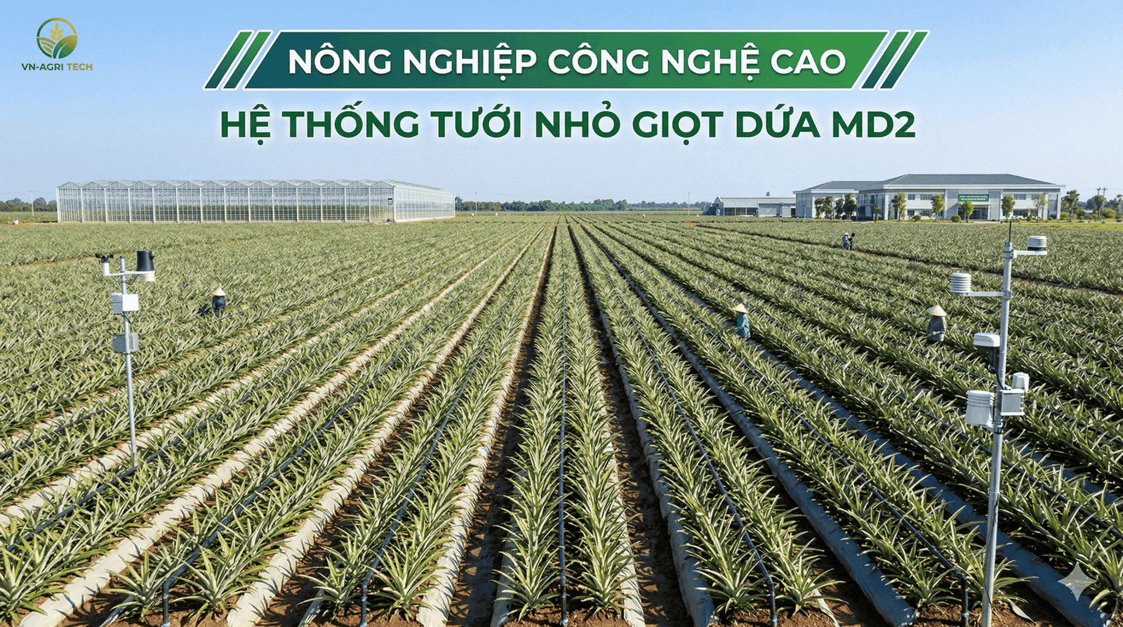Cách mạng nông nghiệp 4.0: Xu hướng thay đổi toàn ngành nông sản
