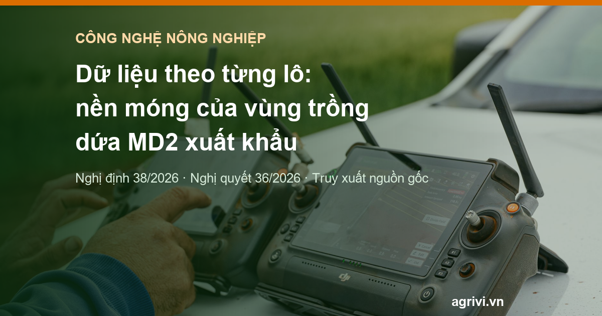 Dữ liệu theo từng lô: nền móng của vùng trồng dứa MD2 xuất khẩu
