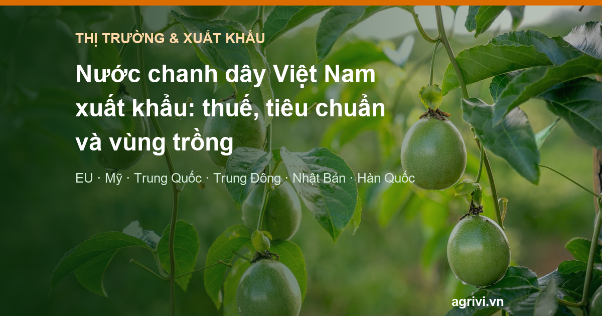 Nước chanh dây Việt Nam xuất khẩu: thuế, tiêu chuẩn và vùng trồng tại 6 thị trường