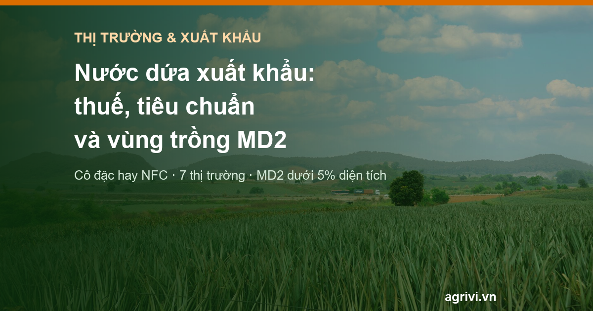 Nước dứa xuất khẩu: thuế, tiêu chuẩn và vì sao vùng trồng MD2 là điều kiện đầu tiên