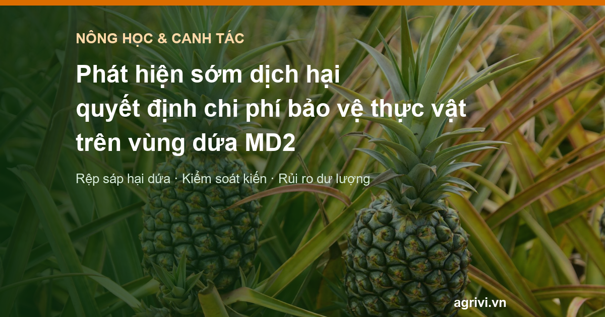 Phát hiện sớm dịch hại quyết định chi phí bảo vệ thực vật trên vùng dứa MD2